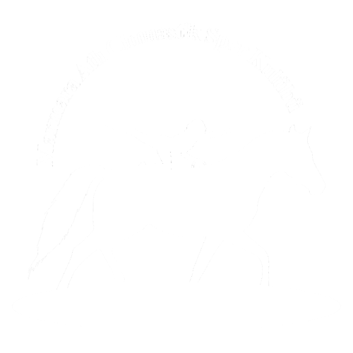 MASK Logo